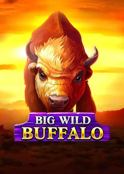 BitBetWin Casino